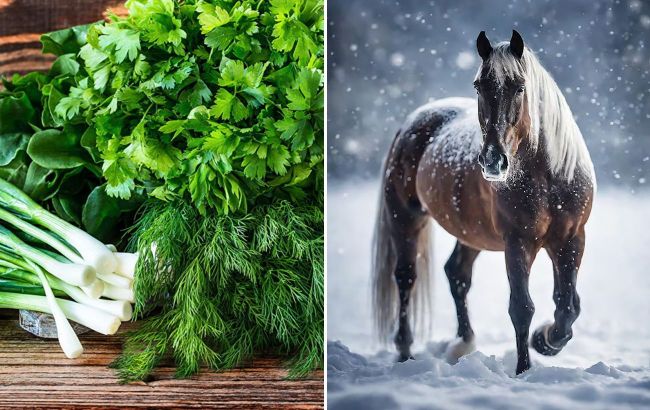 Put this ingredient on menu to please Fire Horse - It will bring wealth