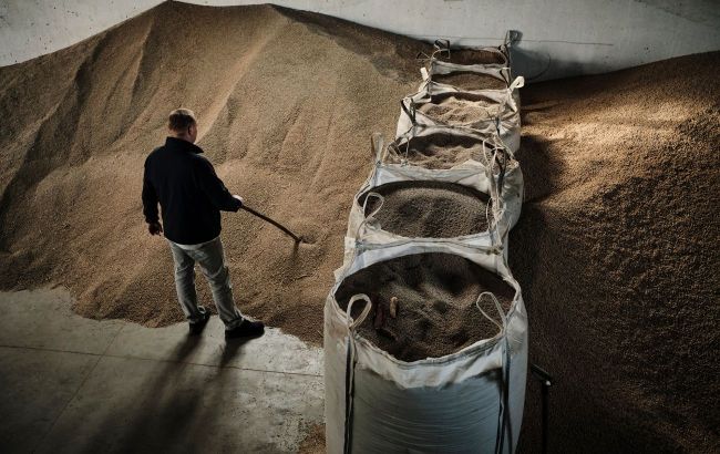 Ukraine vows to keep grain exports flowing despite Russian strikes on ports