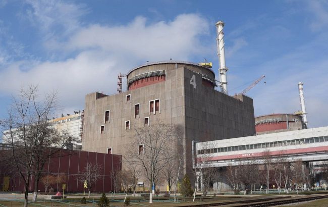 Forest fire causes smoke near Zaporizhzhia nuclear plant: No threat detected