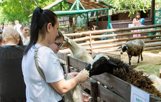 Russian drone hits Odesa Zoo: Animal killed