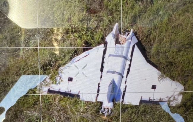 Drone from Belarus found at Lithuanian military training ground
