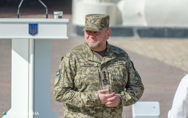Ex-army chief Zaluzhnyi dismissed from military service, Zelenskyy signs decree