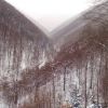 Snow and -9 Celsius in Ukrainian Carpathians