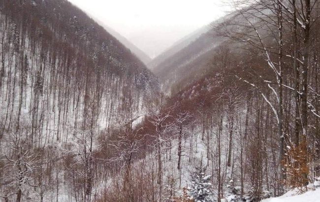 Snow and -9 Celsius in Ukrainian Carpathians