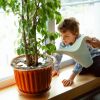 5 plants for child's room