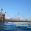 Russia hits civilian grain ship with cruise missiles, killing five