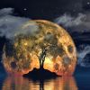 'Lucky streak' begins for 3 zodiac signs: Check if happiness awaits you