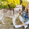 Before or after walk? Vets give surprising answer about feeding your dog