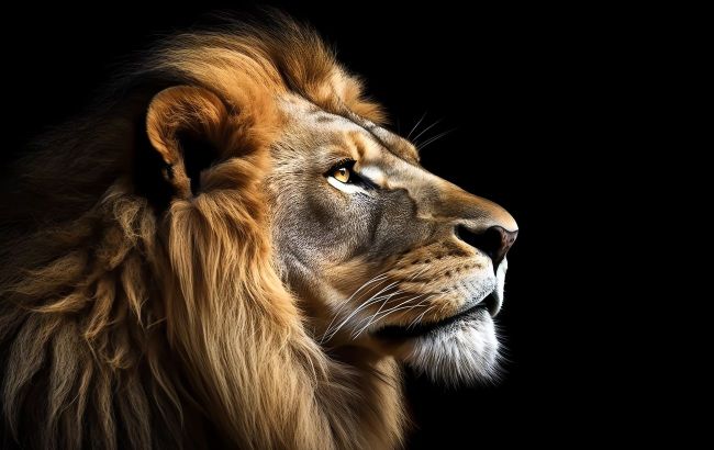 Stronger than lion - Top 7 most dangerous predators