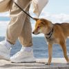 Minimum number of steps to walk daily: Few people know about this