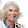 Queen Camilla takes break from royal duties: Details