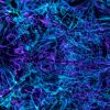 Universe avoided instant destruction: Scientists reveal 'cosmic lockdown' secret