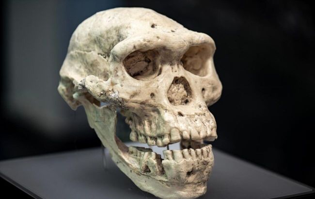 Scientists prove ancient human species passed its DNA to modern people