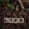 Did life emerge on Earth twice? Scientists find surprising evidence