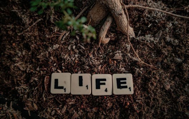 Did life emerge on Earth twice? Scientists find surprising evidence