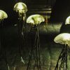How 150 lines of code tricked AI into discovering alien life