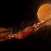 Moon appeared in just 5 hours? Scientists reveal shocking new theory