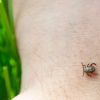 Keep ticks at bay during walks with these simple tips