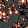 Scientists revive human brain after death: What's behind lab experiment