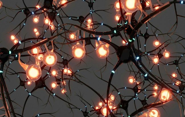 Scientists revive human brain after death: What's behind lab experiment