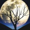April Full Moon to change everything: Who is the luckiest