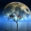 Last Full Moon of Spring: Dreams come true for 4 zodiac signs