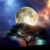 Full moon on August 9 will change lives of these zodiac signs