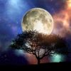 Last New Moon brings happiness to these zodiac signs - See if you are included