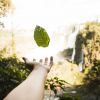 These zodiac signs to have their cherished dreams come true