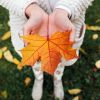 Fall equinox 2025: Why this mystical event could finally fulfill your dreams
