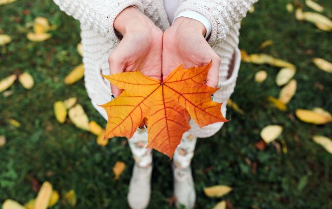 Fall equinox 2025: Why this mystical event could finally fulfill your dreams