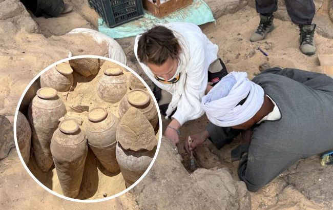 5,000-year-old wine found in Egyptian tomb