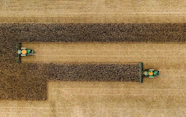 Kernel and NASA examine Ukraine's fields from space: Key findings