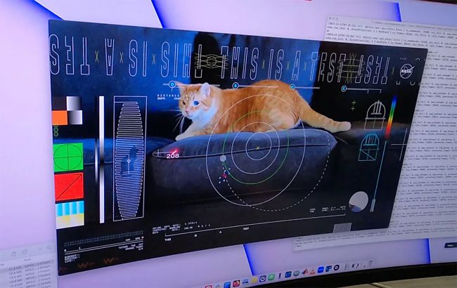 NASA sends first-ever cat video from deep space using laser technology