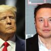 Musk made decisive contribution to Trump's campaign in swing states