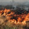 Hurricane sweeps across Siberia, sparking massive wildfires and casualties