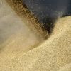 EU to strengthen grain import checks from Ukraine amid farmer protests, EU Commissioner says