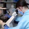 Ukraine's foreign ministry responds to biolabs allegations