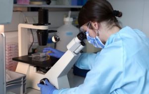 Ukraine's foreign ministry responds to biolabs allegations