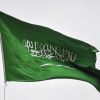Saudi Arabia offers to mediate end to Russia-Ukraine war
