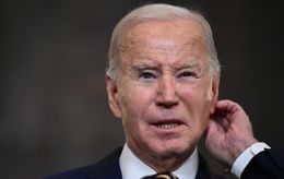 Harris' allies blame Biden for loss to Trump