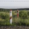 Lithuanian border guards shoot down drone from Belarus
