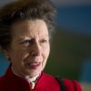 73-year-old Princess Anne hospitalized with concussion and minor injuries: What is known