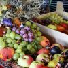 Coach disproves main myth about fruit