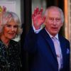 Royal diet secret: Queen Camilla&rsquo;s daily breakfast for healthy arteries