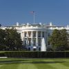Trump begins construction of UFC arena near the White House