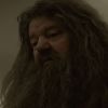 New Harry Potter series drops first Hagrid photo - Here's what fans say