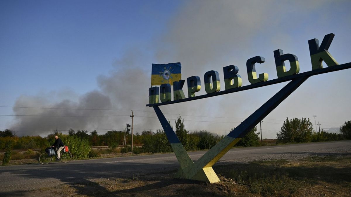 Bloom z osmon jinsiy aloqa