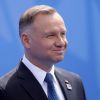 NATO invitation would be a step towards real guarantees for Ukraine, says Poland's Duda