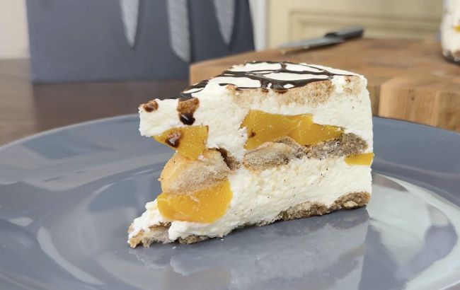 No-bake cake in 20 minutes: Creamy treat for instant sweet cravings